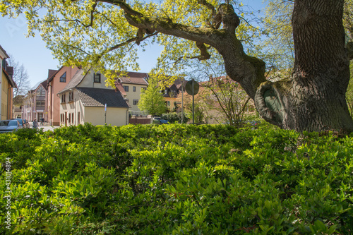 altstadt in hattersheim am main