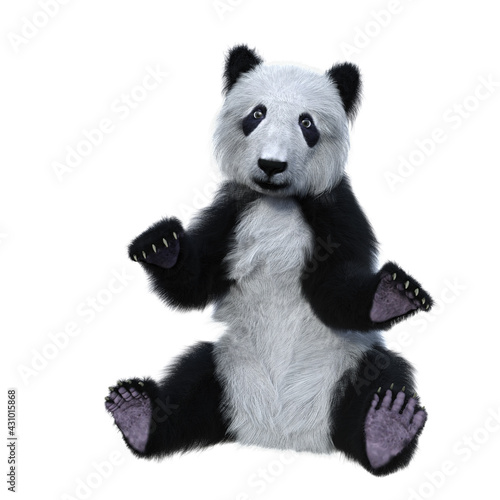 Fototapeta Naklejka Na Ścianę i Meble -  3D rendering of a giant panda cub sitting with arms raised isolated on white.