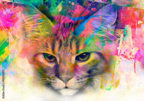 cat face with painted face