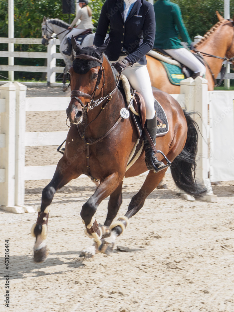 Koń i galop Koń i galop