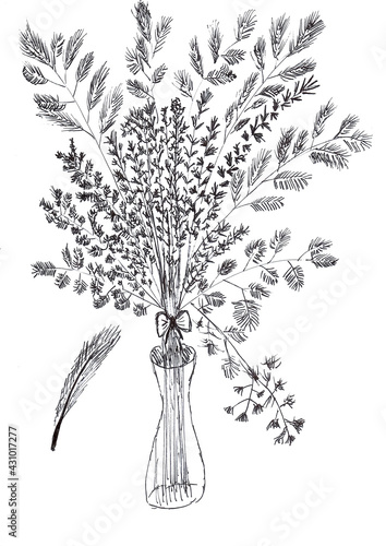 Hand drawing of grass flowers in bottle with black ink
