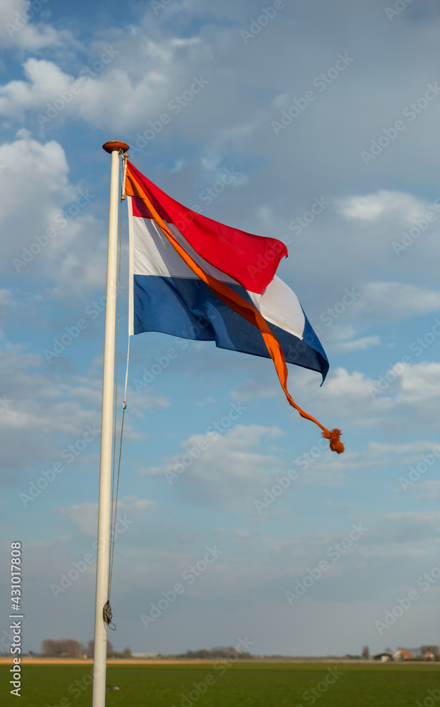 Fototapeta premium dutch flag with orange pennant
