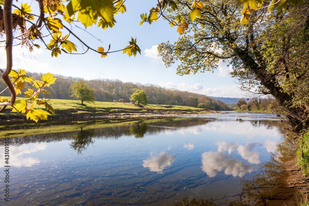 Obraz premium River Ribble, Hurst Green