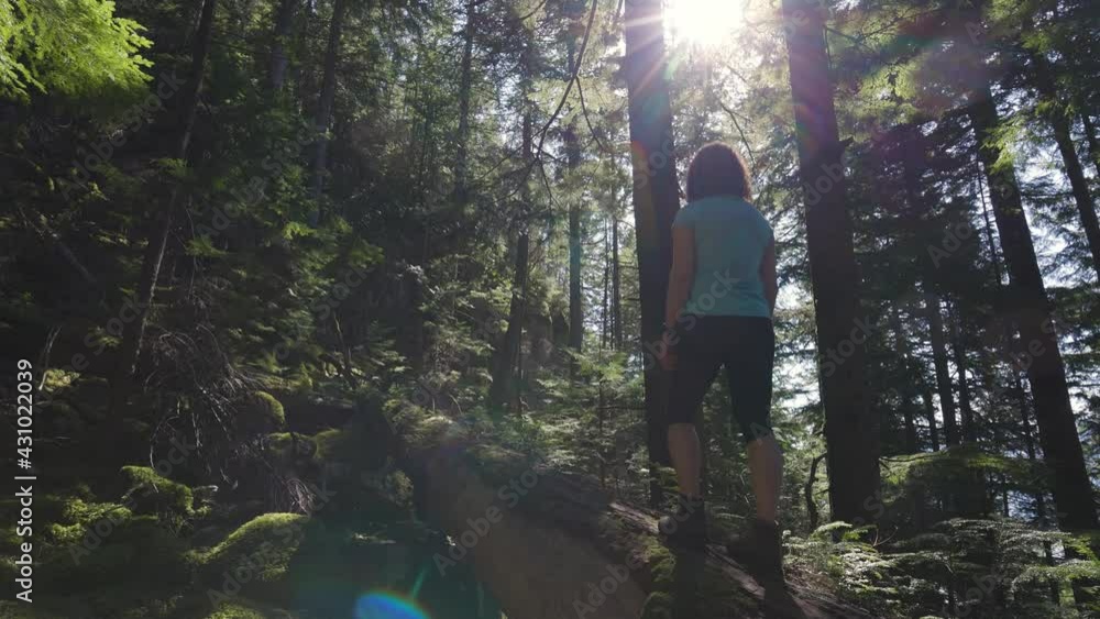 Adventurous Woman hiking on a fallen tree in a beautiful green rain forest during a sunny spring day. Taken in Squamish, North of Vancouver, British Columbia, Canada. Slow Motion Adventurous Woman hiking on a fallen tree in a beautiful green rain forest during a sunny spring day. Taken in Squamish, North of Vancouver, British Columbia, Canada. Slow Motion