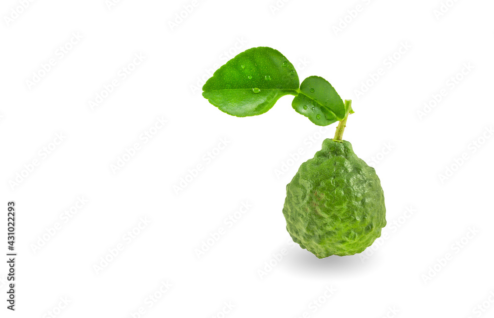 Kaffir lime Kaffir lime