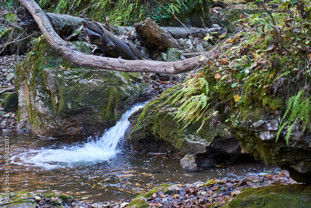 Fototapeta premium Image of a mountain stream in the autumn forest.