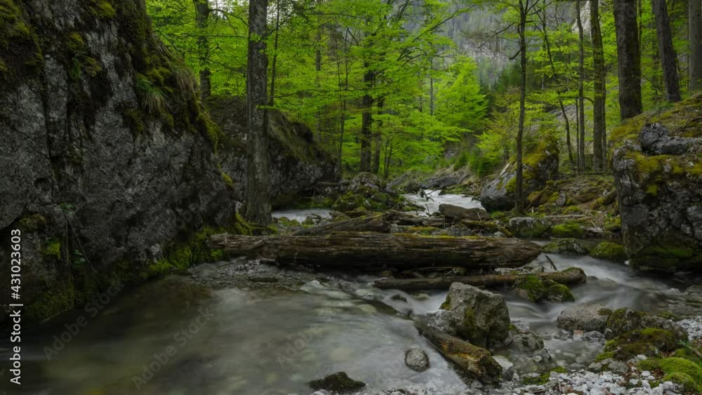 Timelapse Austria Nature Forest River Timelapse Austria Nature Forest River