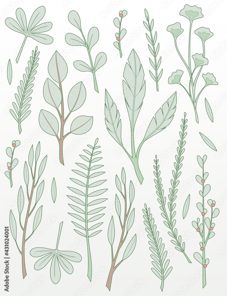 Leafs, twigs and branches Leafs, twigs and branches