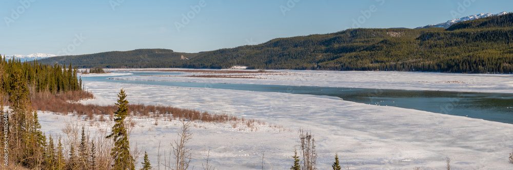 Panorama view of the partially frozen Yukon River in northern Canada during spring time after a long, cold winter. Bright blue, pristine water, wilderness and woods. 