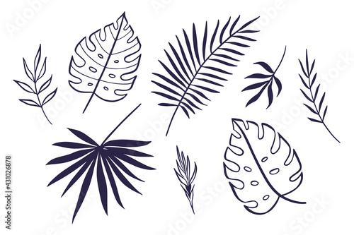 Set of tropical leaves isolated on white background. Vector hand drawn line art.
