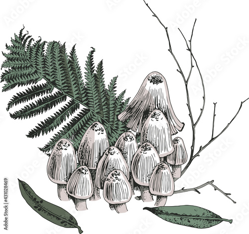 Hallucinogenic mushrooms isolated on background