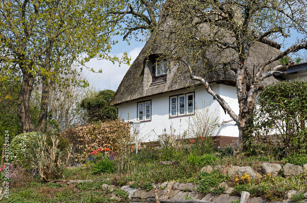 Reetdachhaus Reetdachhaus
