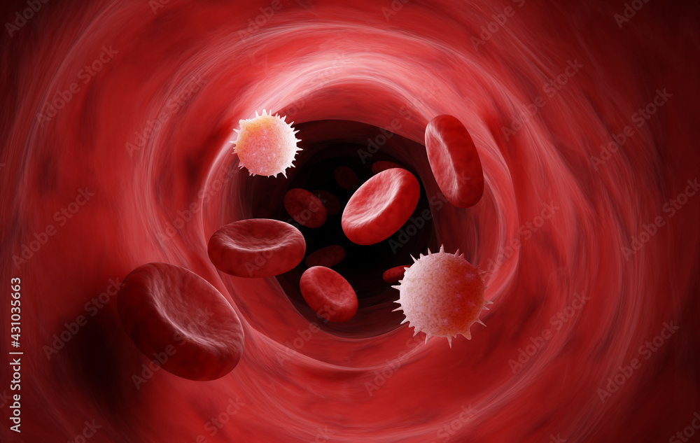 Visualize of white blood cells flow in vein among red blood cells ...