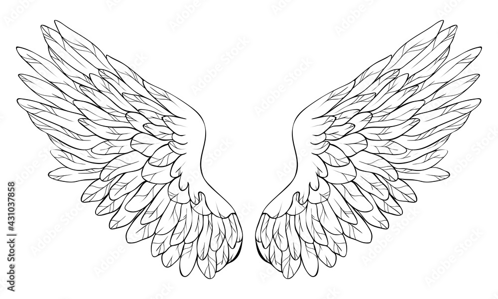 Beautiful angel wings, monochrome, vector