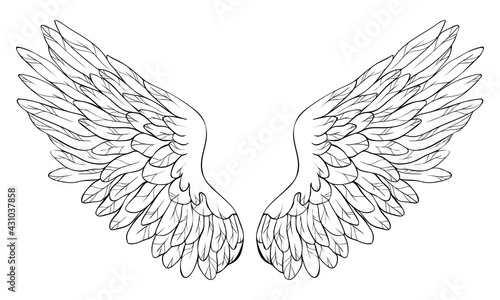 Beautiful angel wings, monochrome, vector