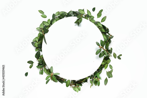 Empty white summer and spring nature background with fresh green leaves and circle frame for copy space or text creative advertising. isolated