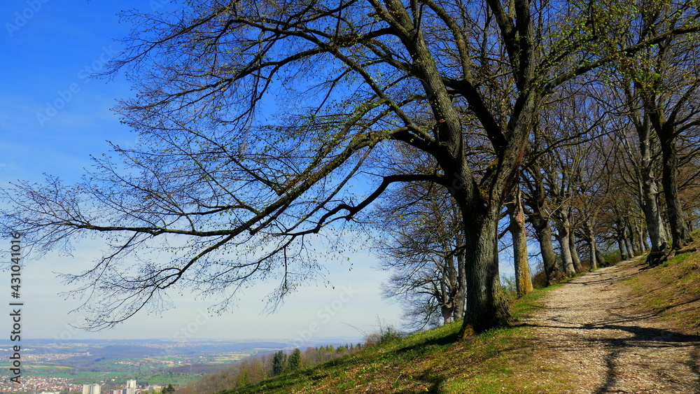 schöne weite Aussicht vom Berg Achalm auf Felder und Wald vom Wanderweg im Frühling schöne weite Aussicht vom Berg Achalm auf Felder und Wald vom Wanderweg im Frühling