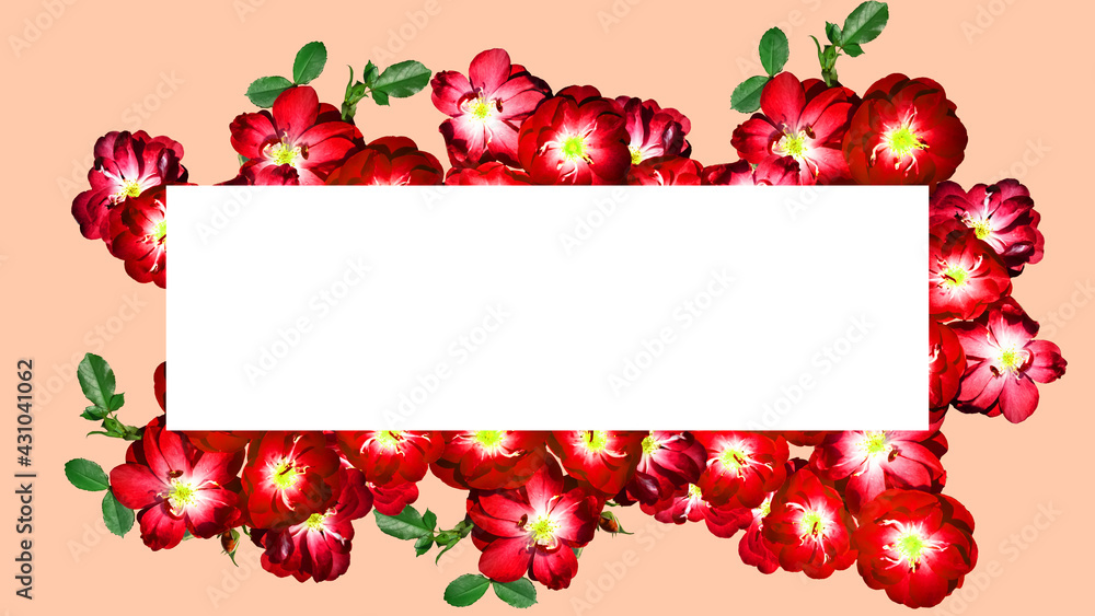 isolated flower card decoration on solid background isolated flower card decoration on solid background