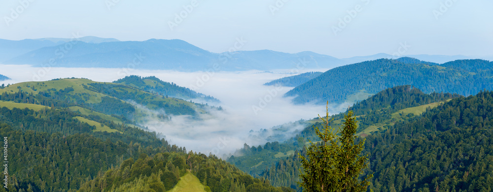 Wide panorama of green Carpathian mountains, Ukraine. Morning fog in the valley. Summer scenery.
