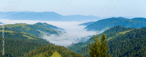 Wide panorama of green Carpathian mountains  Ukraine. Morning fog in the valley. Summer scenery.