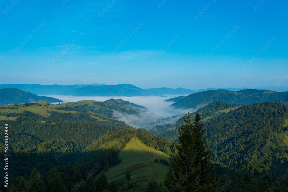 Panoramic view of the green Carpathian mountains, Ukraine. Morning fog in the valley. Summer scenery. Panoramic view of the green Carpathian mountains, Ukraine. Morning fog in the valley. Summer scenery.