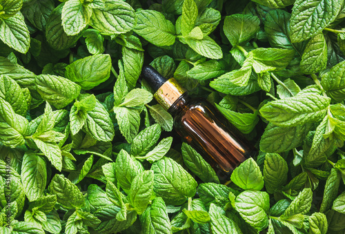 Mint essential oil and mint leaves background. Aromatherapy, natural cosmetics.