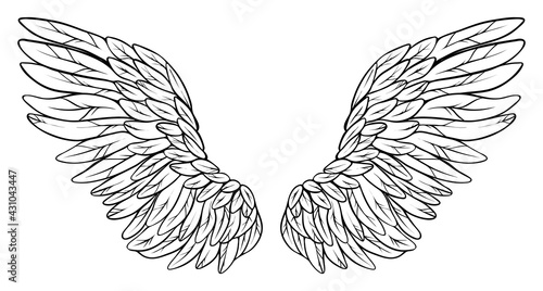 Beautiful angel wings, monochrome, vector