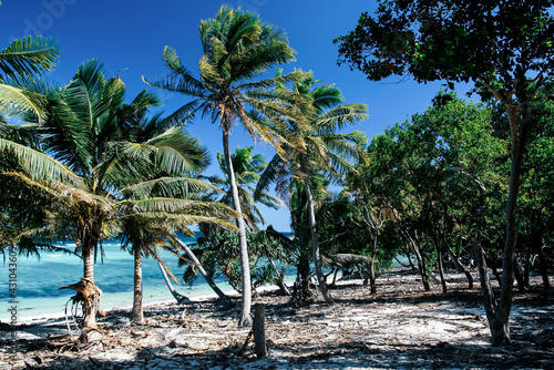 Remote Island in the Pacific