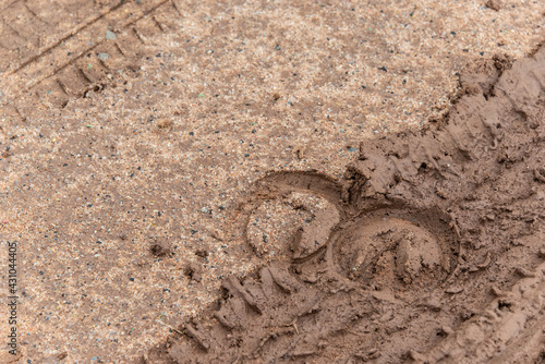 Картината върху платно Horse hoof prints and tire (tyre) tracks in light mud on diagonal lines - the pr