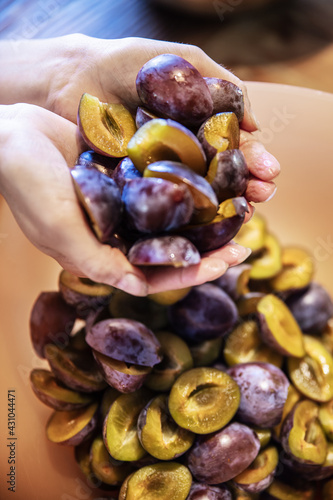 woman is holding a lot of fresh cutted raw plums