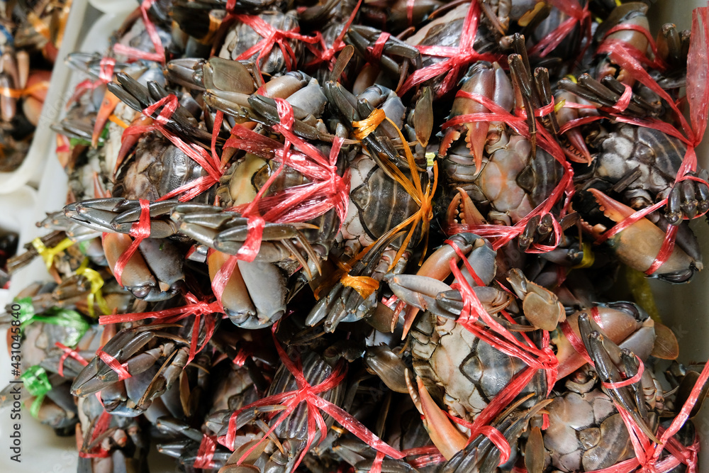 Fresh sea crabs for sale in the market.