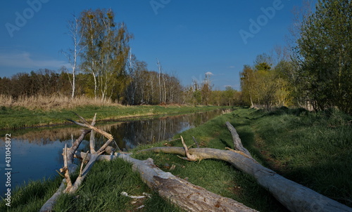 Der Fluss Nieplitz bei Stangenhagen photo