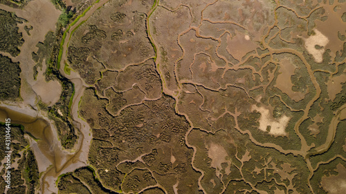 Aerial view of salt marshes with formations