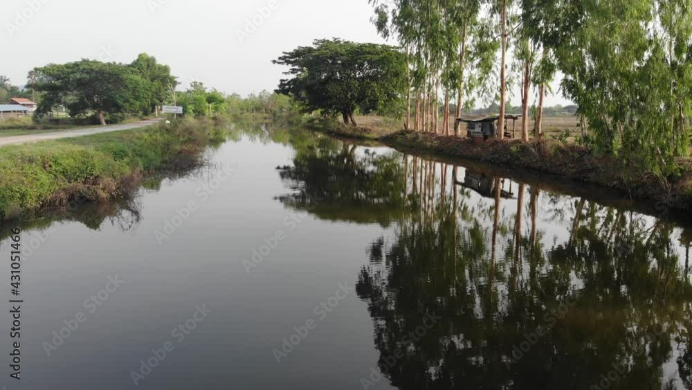 Aerial view morning park fly over river with tree nature landscape Aerial view morning park fly over river with tree nature landscape