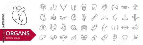 Human organs line icon set. Isolated signs on white background. Vector illustration	
