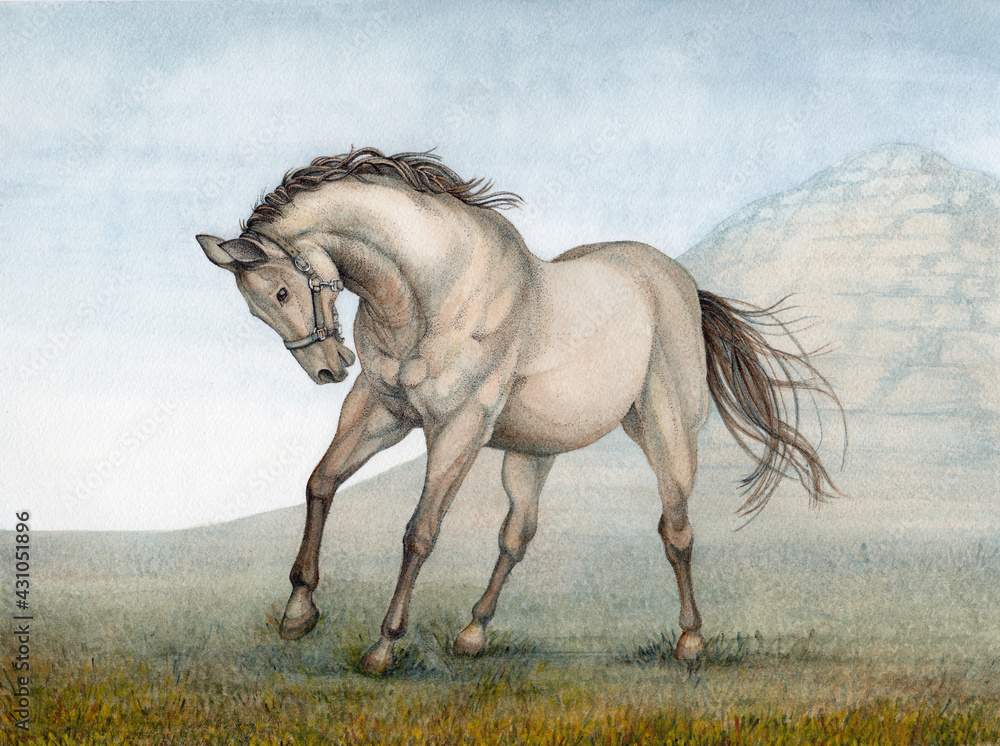 watercolour-graphic image of a bay horse on the background of a mountain watercolour-graphic image of a bay horse on the background of a mountain