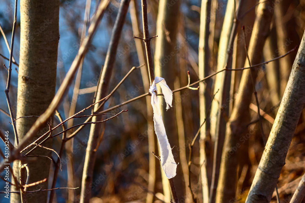 White ribbon tied on a branch in forest White ribbon tied on a branch in forest