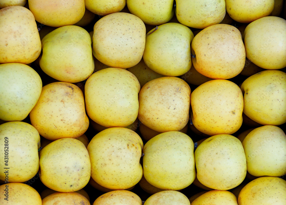Harvest of yellow apples of the golden variety folded in order, close-up. Harvest of yellow apples of the golden variety folded in order, close-up.