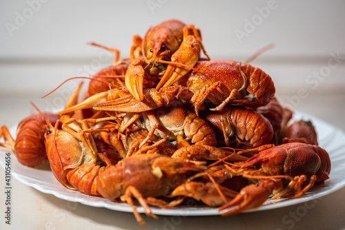 Cancer. Plate of boiled red crayfish on a light plate background. Selective focus. Delicious food concept