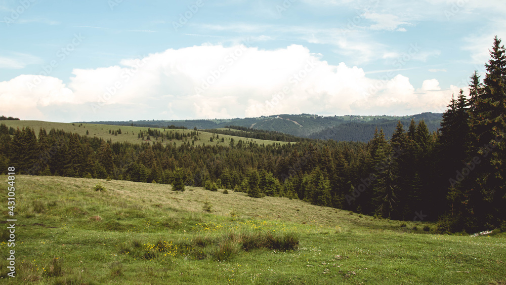 The beautiful landscapes in Belis - Romania - Apuseni Mountains & Forest