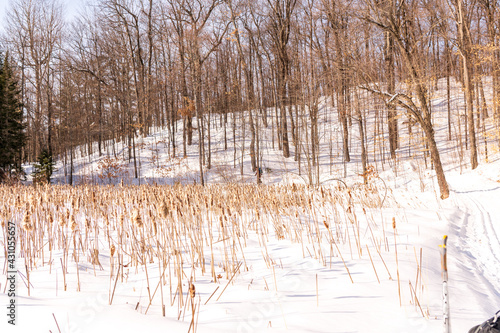 A cross country skier on the edge. of lake in Gatineau Park Quebec, Canada. photo