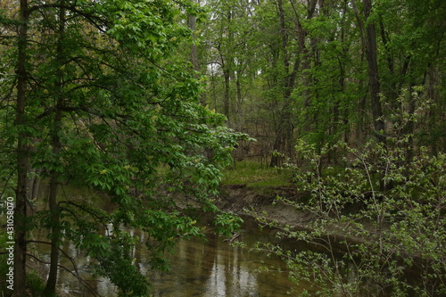 Spring river in the green woods © OPE! Photography