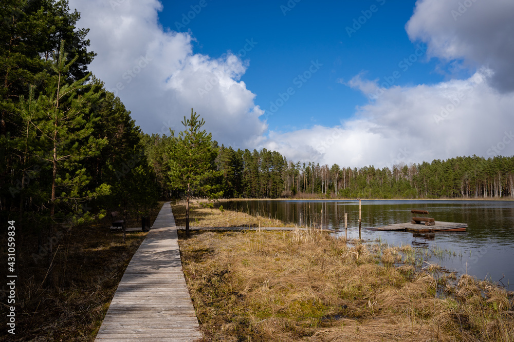 Fototapeta premium There are wooden footbridges along the lake where trees grow along the edges and there is a beautiful sky