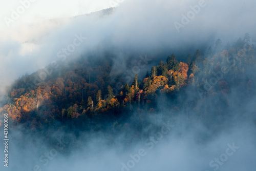 Mountain with morning clouds and mist