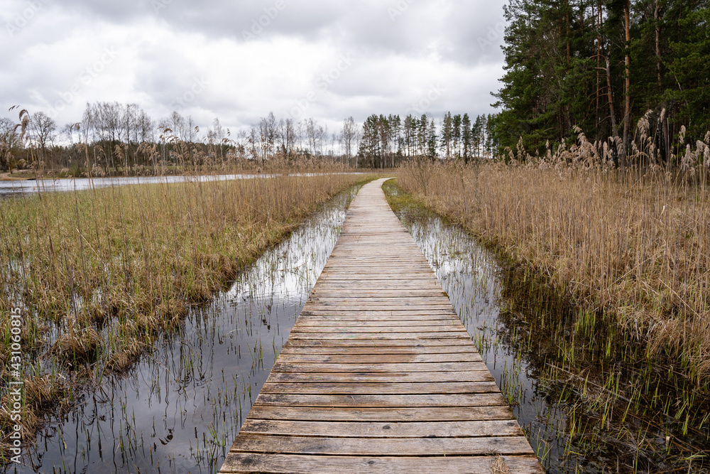 Obraz premium a wooden son's footbridge arranged on the lake between the reeds