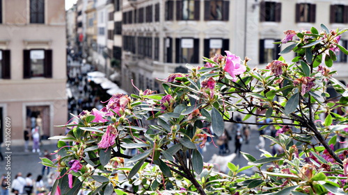 Spanish Steps Scalinata di Trinita dei Monti, Obelisco Sallustiano on Spanish Steps SquarePiazza photo