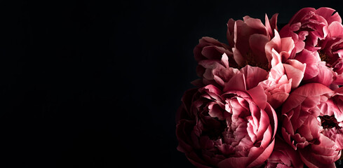Papier peint photo Magasin de fleurs Pivoines roses ambiance baroque sombre  © netrun78