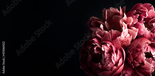Fototapeta Naklejka Na Ścianę i Meble -  Pink peonies over dark background. Moody floral baroque style banner with copy space
