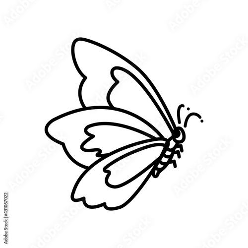 Butterfly icon in trendy flat design photo