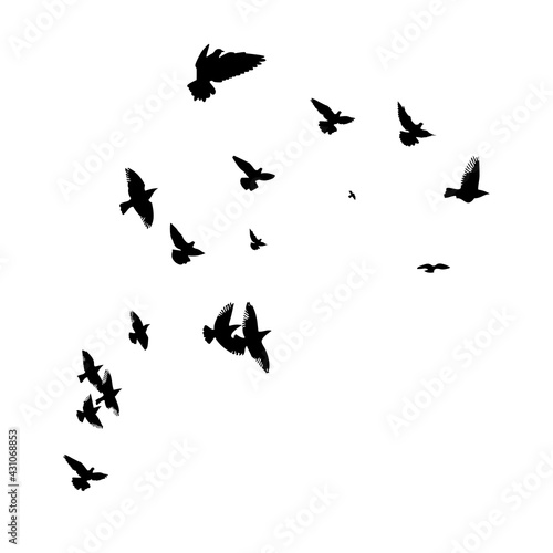 A flock of flying birds. Vector illustration